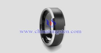鎢合金冠軍戒指 tungsten alloy championship ring picture