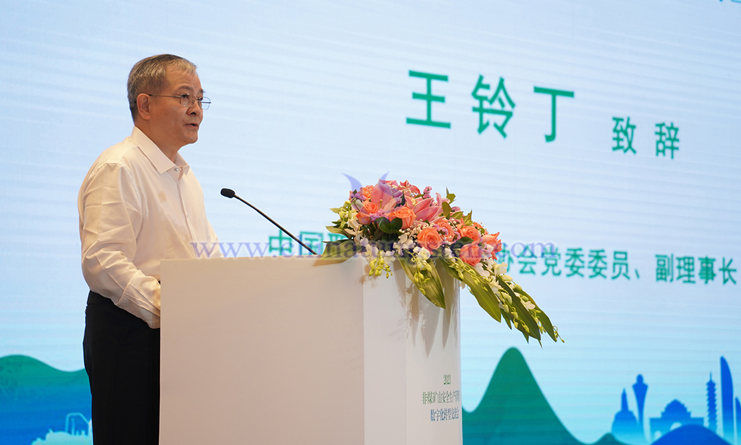 中國職業(yè)安全健康協(xié)會黨委委員、副理事長 王鈴丁
